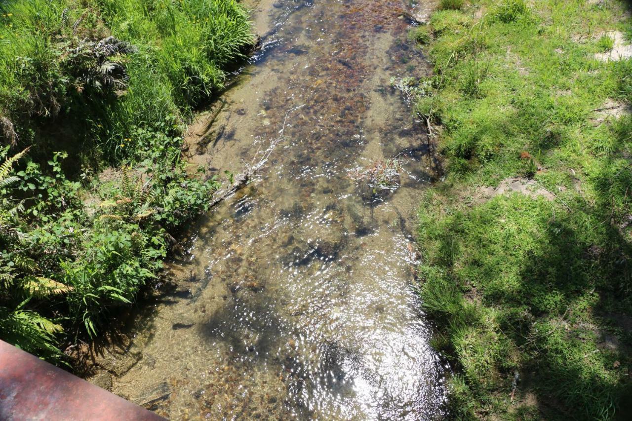 Unwind In Paradise Valley Trout At Your Door Rotorua Exteriör bild